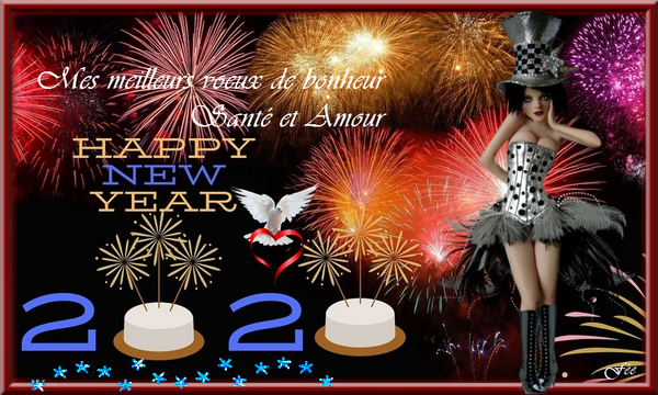 Meilleurs voeux pour 2020...Jeu de Véro.