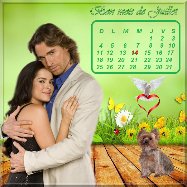 Bon mois de juillet
