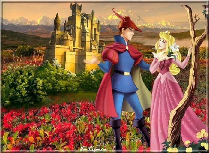 La Belle Et Ses Prince Saison 1 Episode 1 La belle et son prince